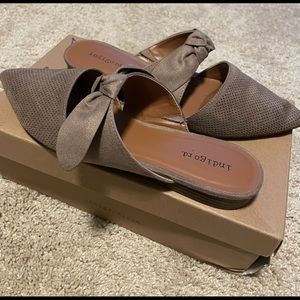 Indigo rd. mule with bow